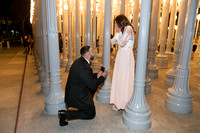 Balwinder and Navneet Proposal. Photo By Alex Solca.